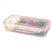 ظرف فریزری مستطیلی چهار خانه لیمون 77635